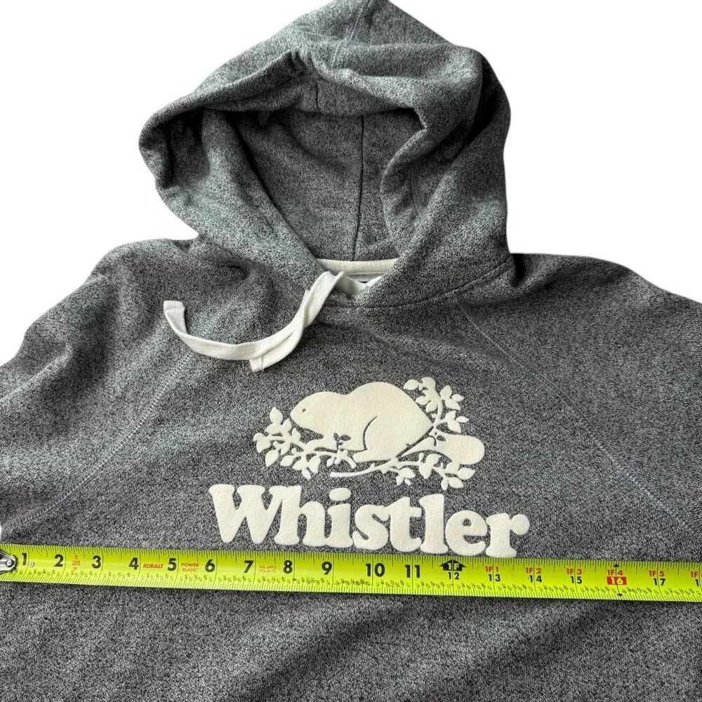 NEW ROOTS Whistler Kanga Hoody Hooded Pullover Sweatshirt Heathered Gray Small - Picture 8 of 10